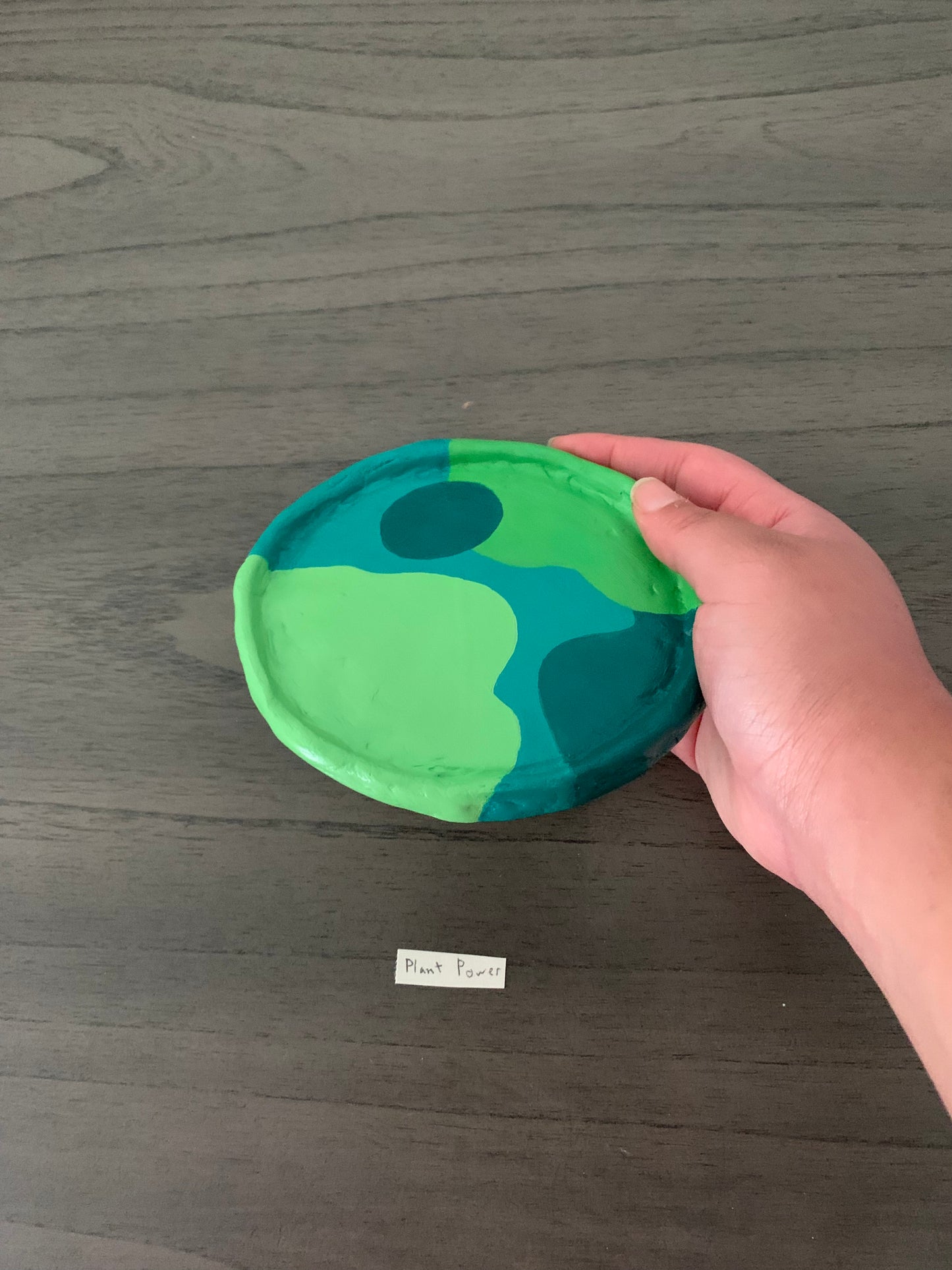 “Plant Power” Trinket Tray