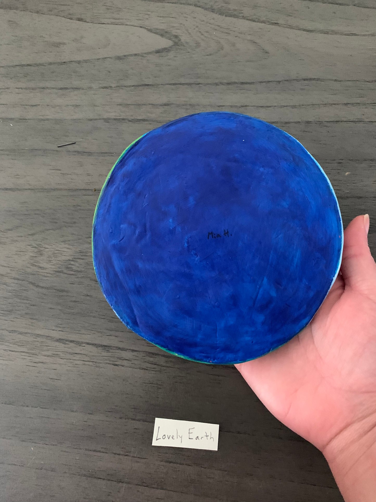 “Lovely Earth” trinket tray