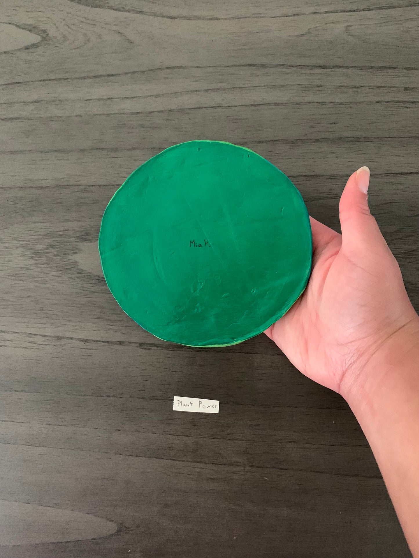 “Plant Power” Trinket Tray